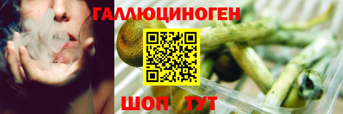 Галлюциногенные грибы Cubensis  Вход с VPN  Галлюциногенные грибы Psilocybe  Узловая 